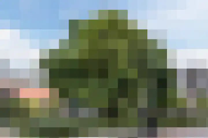 Cruquiusweg 79 D 5 Amsterdam thumbnail 30