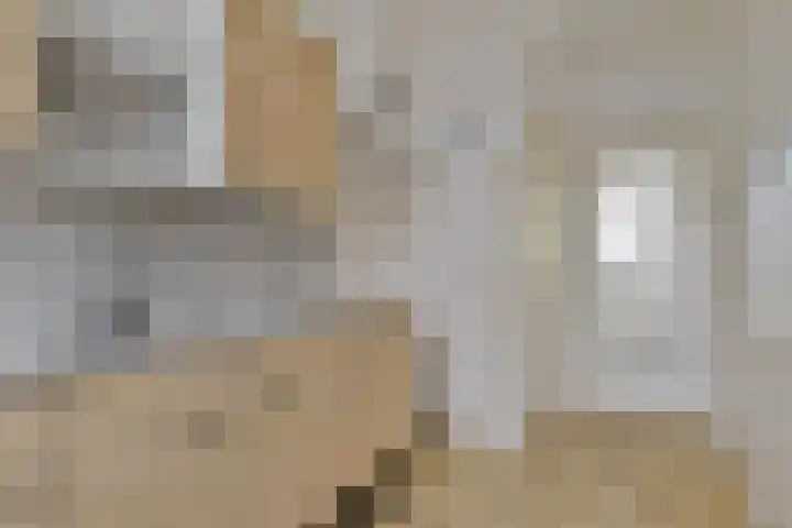 Crusaatstede 52 Cuijk thumbnail 12