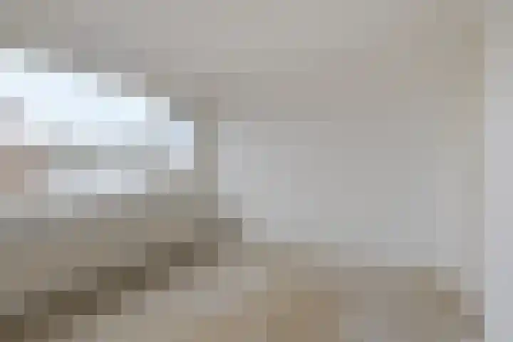 Crusaatstede 52 Cuijk thumbnail 15
