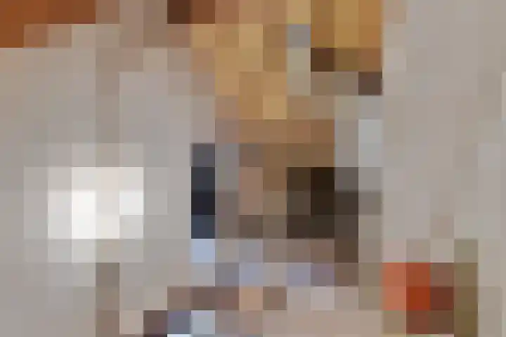 Crusaatstede 52 Cuijk thumbnail 21