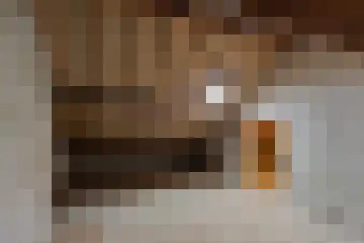 Crusaatstede 52 Cuijk thumbnail 22