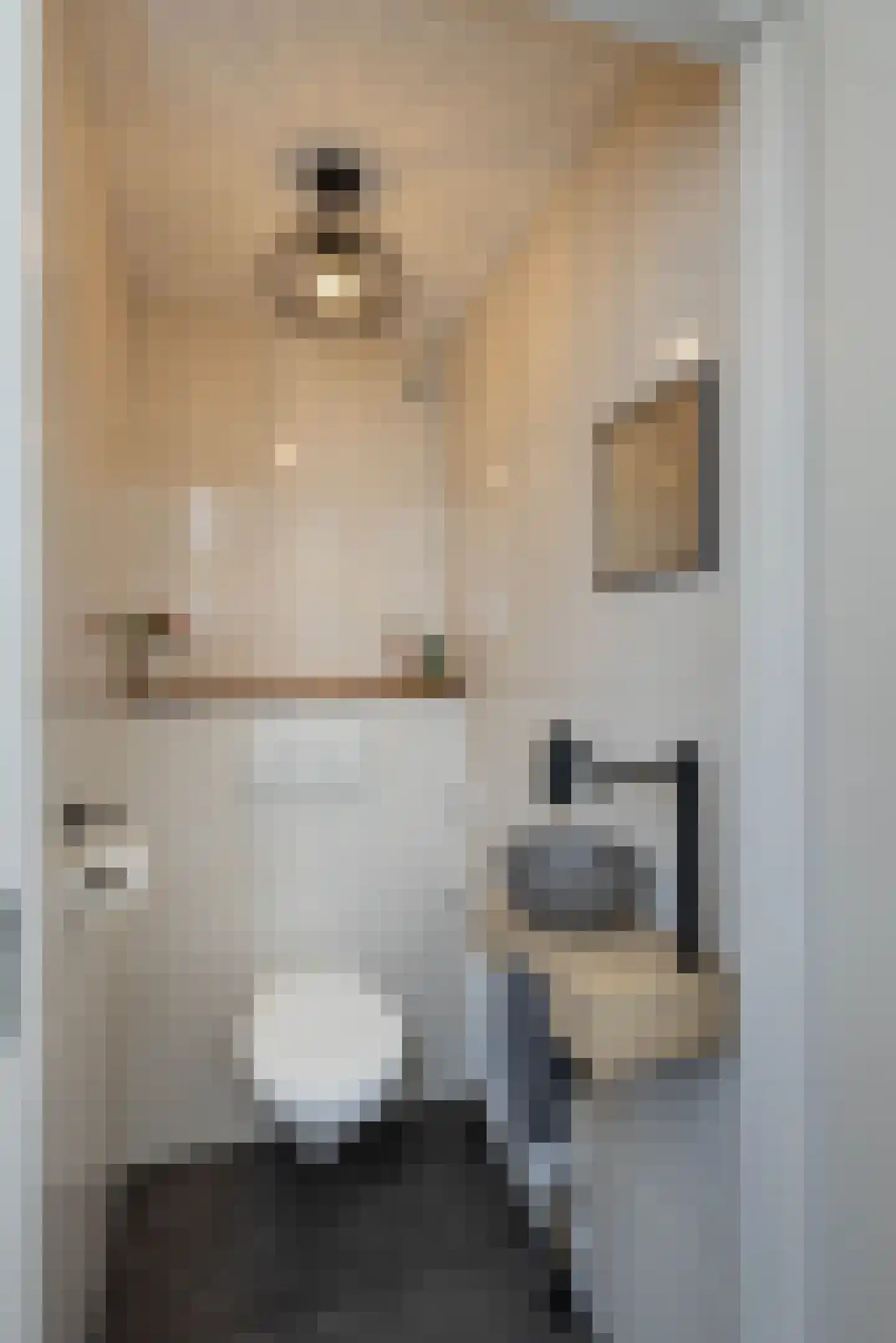 Cruys Voorberghstraat 168 Hengelo thumbnail 14