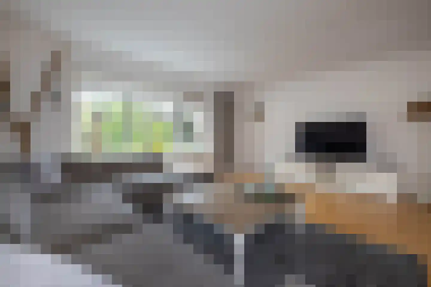 Cruys Voorberghstraat 168 Hengelo thumbnail 4