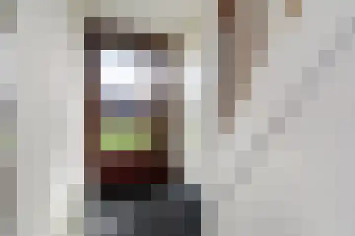 Cruys Voorberghstraat 41 Hengelo thumbnail 11