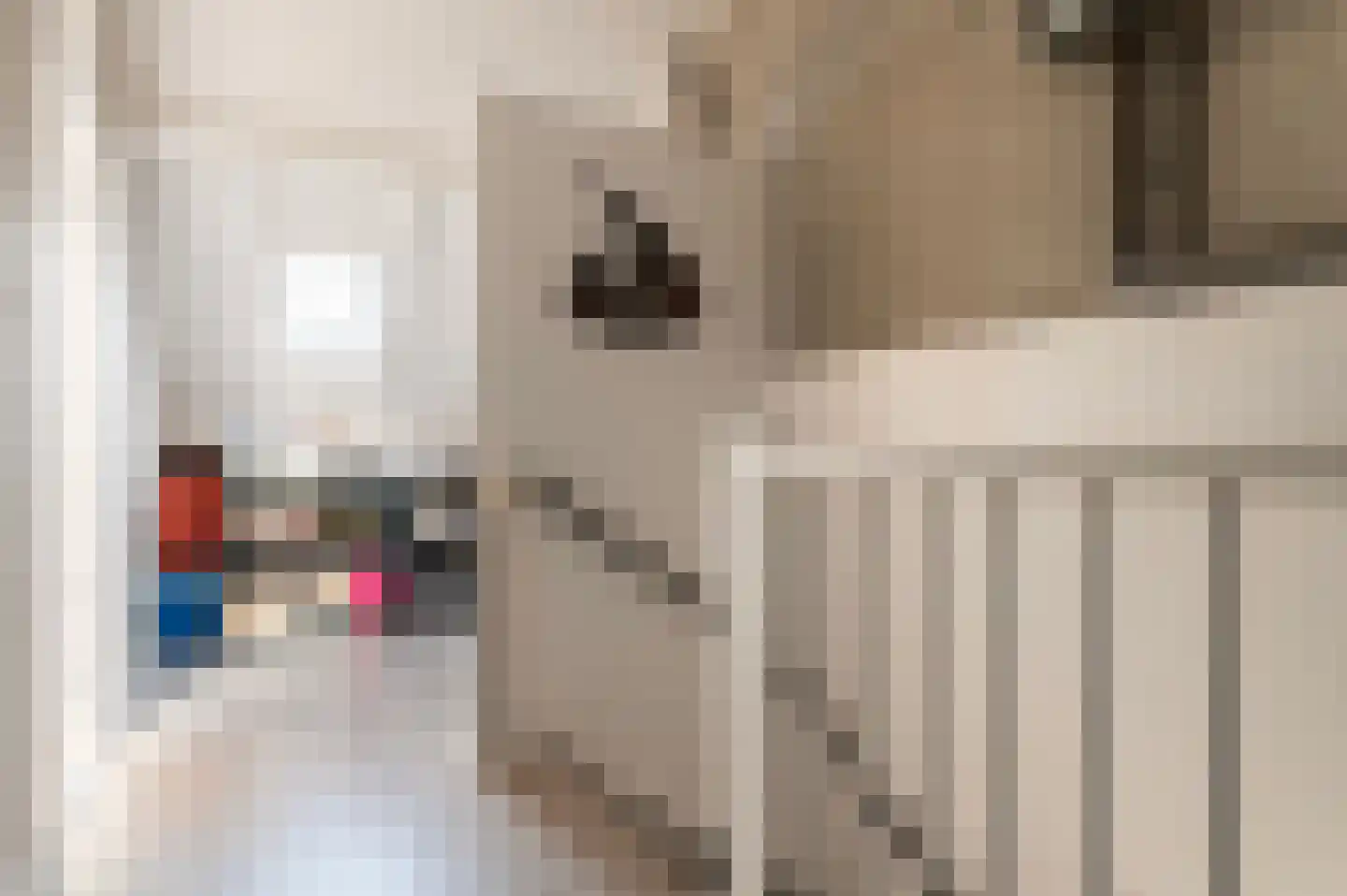 Cruys Voorberghstraat 47 Hengelo thumbnail 31