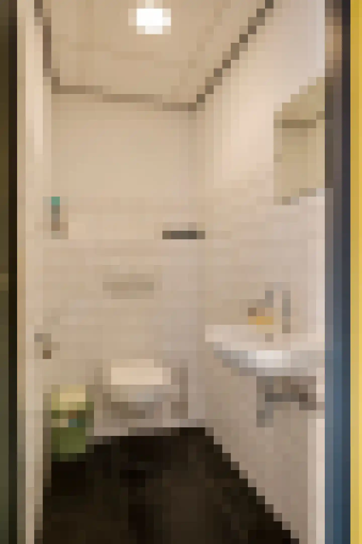 Cruysbergstraat 9 Beesel thumbnail 13