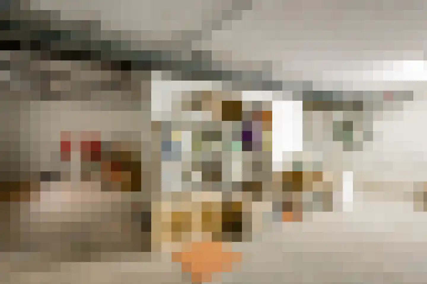 Cruysbergstraat 9 Beesel thumbnail 24