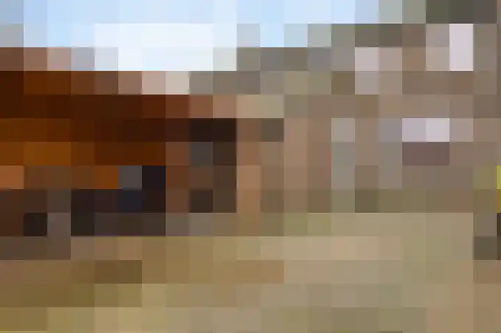 Cruyshaag 22 Maastricht thumbnail 4