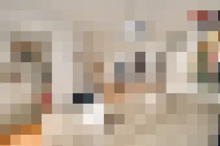 Cruyshaag 22 Maastricht thumbnail 8