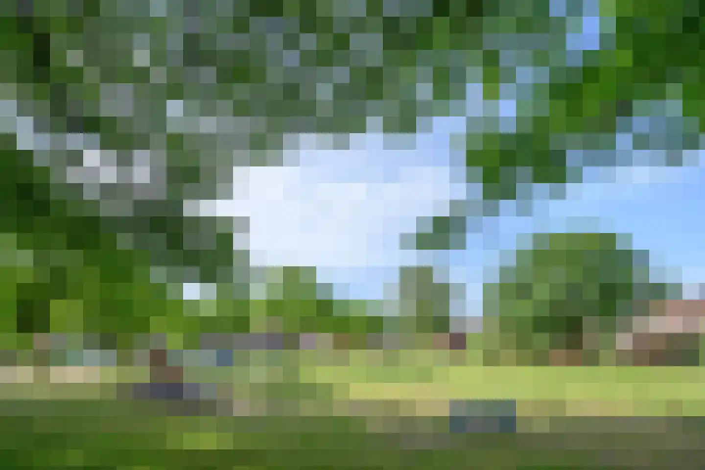 Cruyshoevelaan 20 Laag-Soeren thumbnail 5