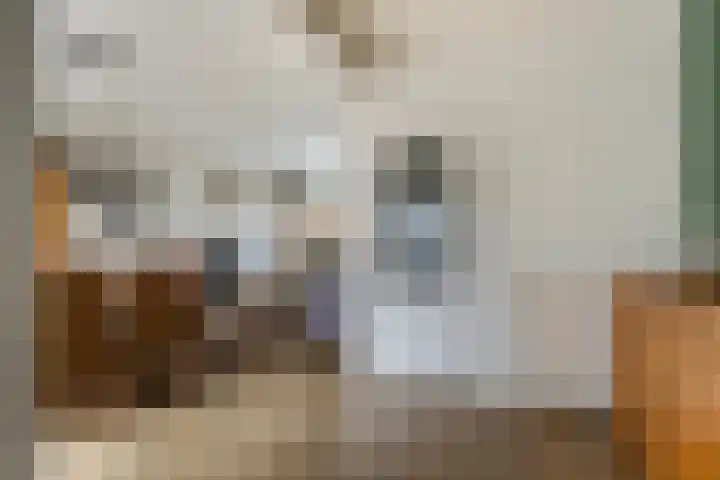 Cruyshoevelaan 24 Laag-Soeren thumbnail 10