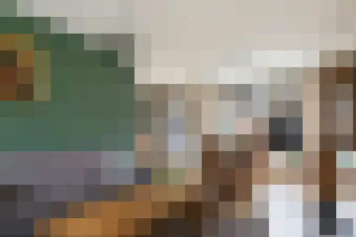 Cruyshoevelaan 24 Laag-Soeren thumbnail 12