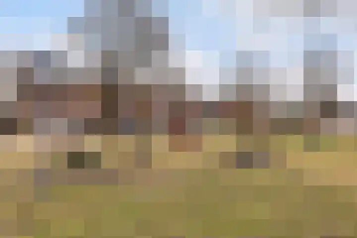 Cruyshoevelaan 24 Laag-Soeren thumbnail 28