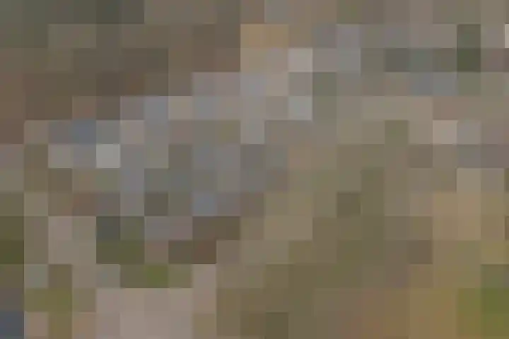 Cruyshoevelaan 24 Laag-Soeren thumbnail 5