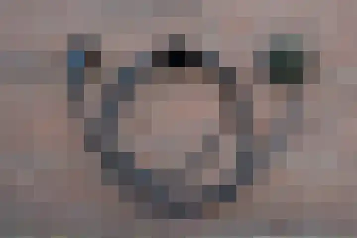 Cruyshoevelaan 6 Laag-Soeren thumbnail 22