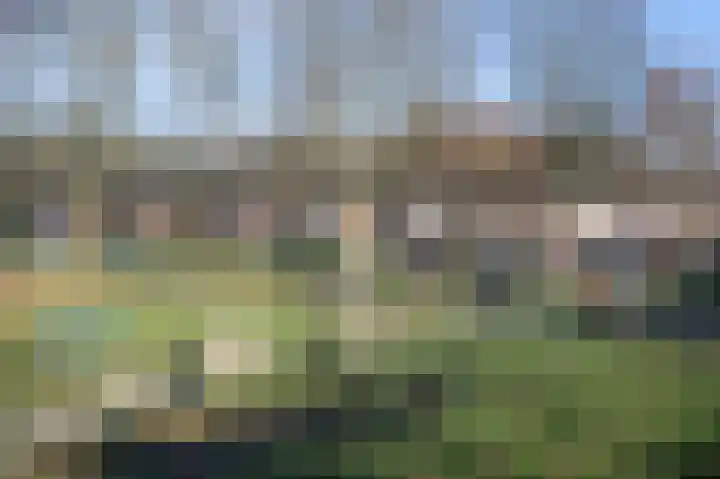 Cruyshoevelaan 6 Laag-Soeren thumbnail 29