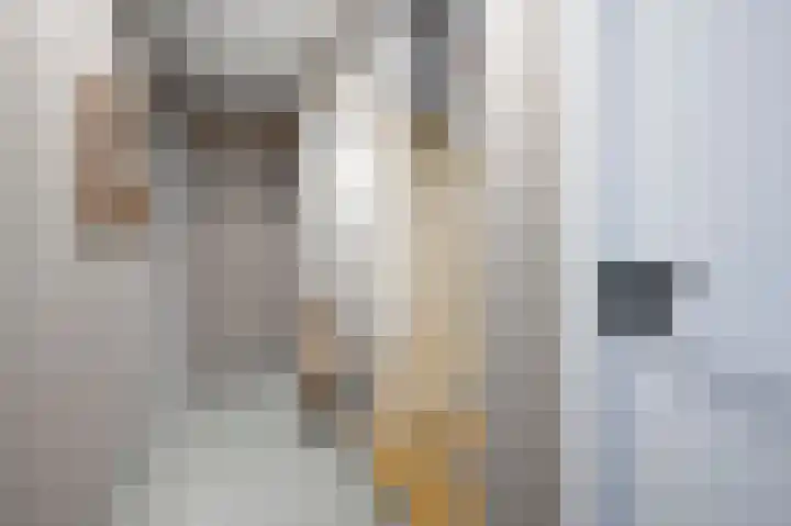 Cruyshoevelaan 6 Laag-Soeren thumbnail 4