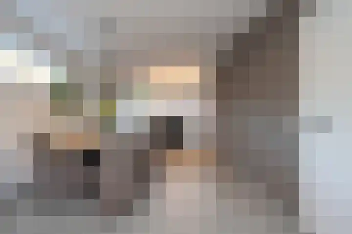 Cruyshoevelaan 6 Laag-Soeren thumbnail 7