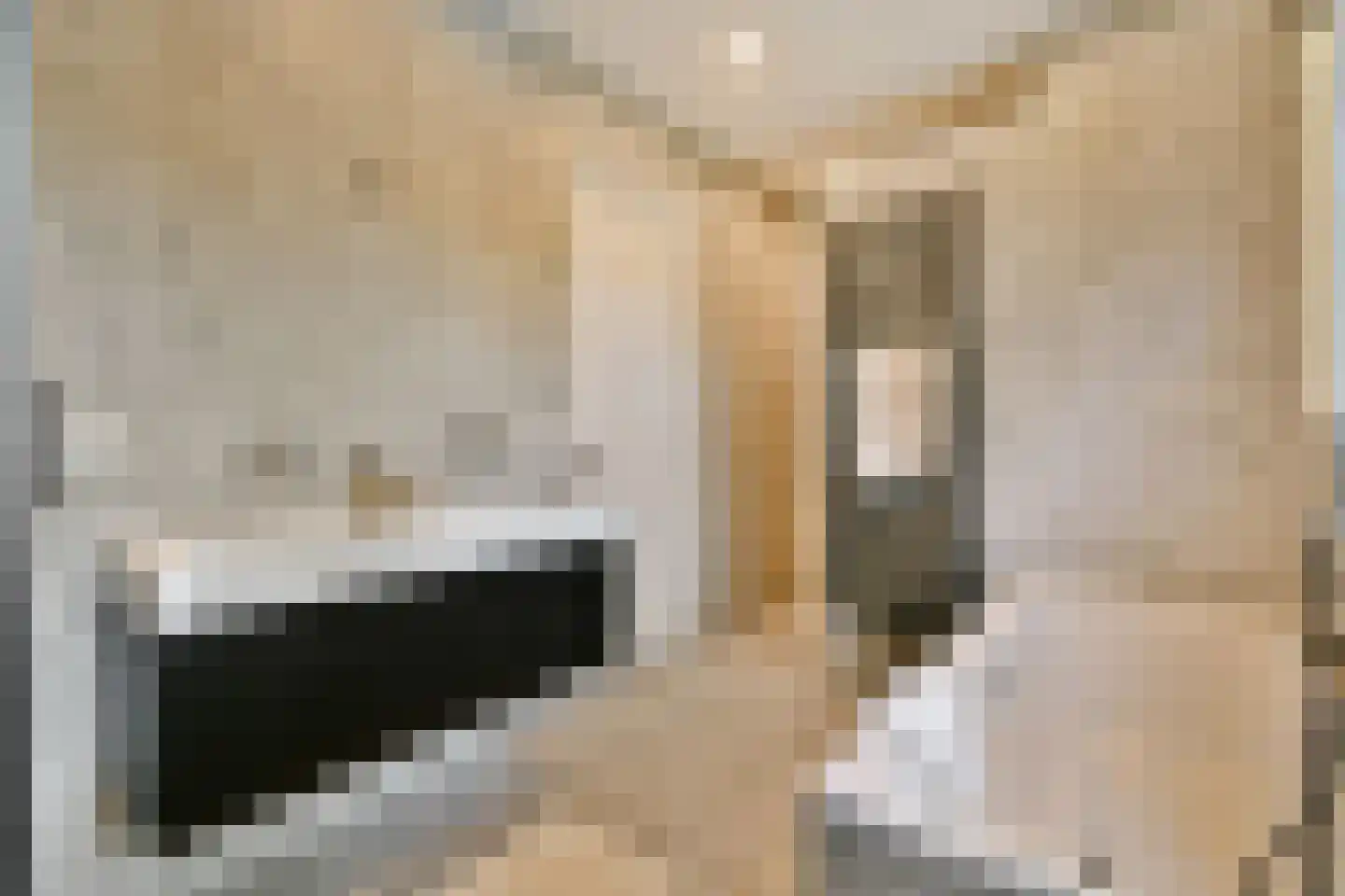 Crynssenstraat 30 2 Amsterdam thumbnail 19