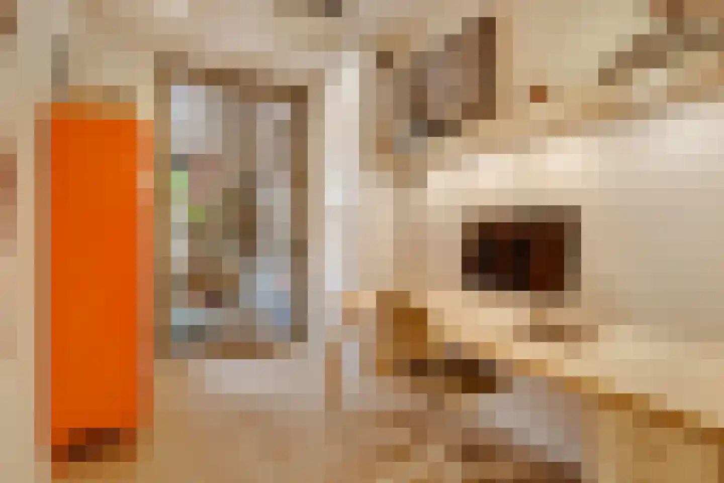 Crynssenstraat 34 H Amsterdam thumbnail 19