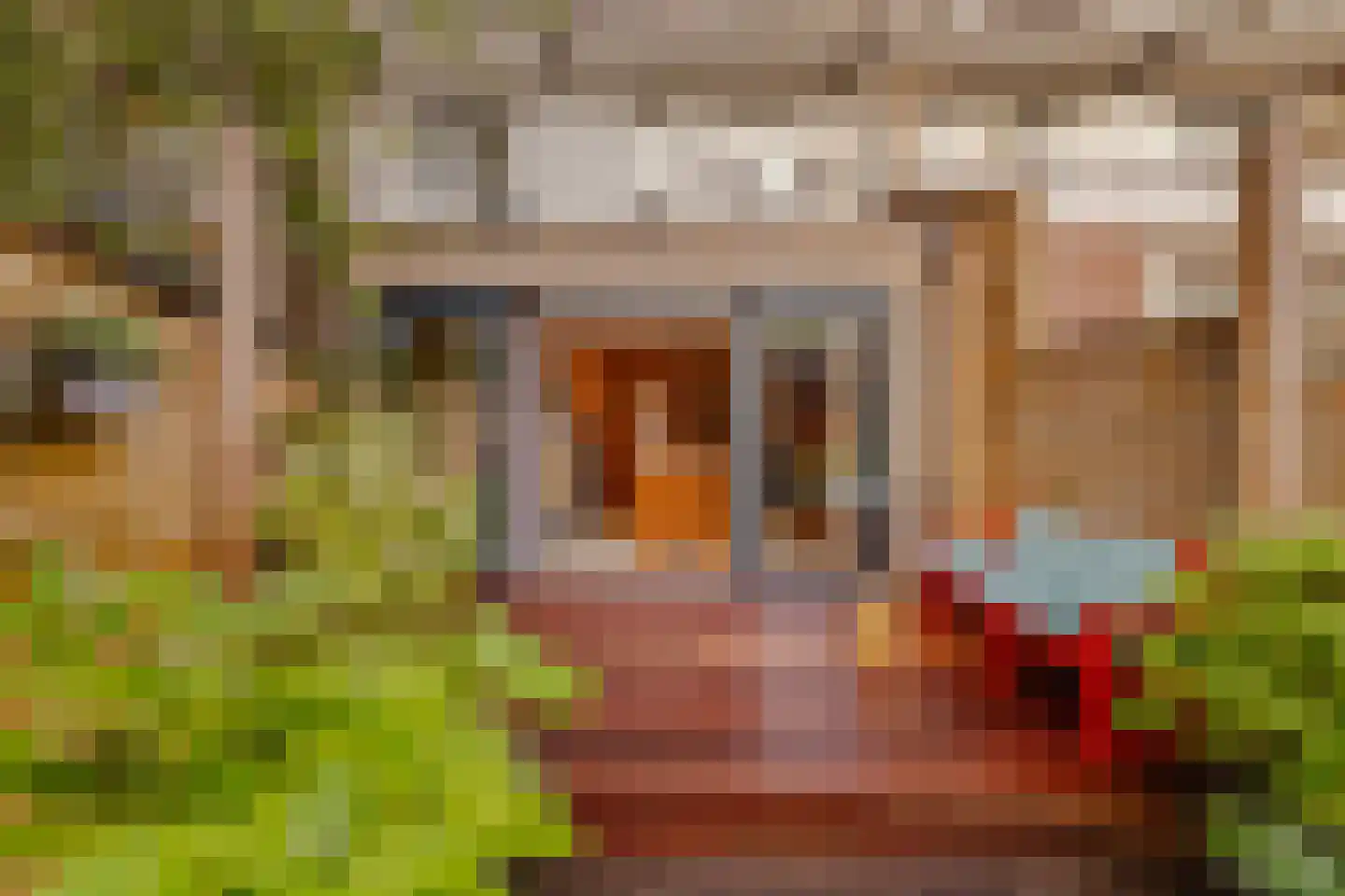 Crynssenstraat 34 H Amsterdam thumbnail 33