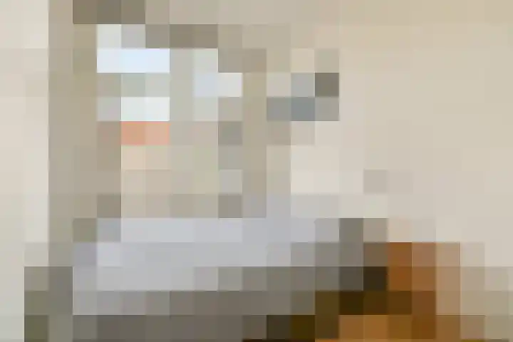 Crynssenstraat 41 1 Amsterdam thumbnail 11