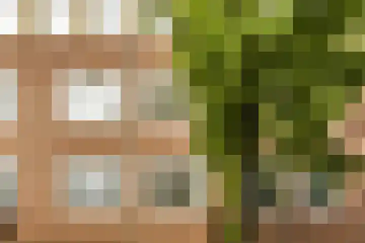 Crynssenstraat 41 1 Amsterdam thumbnail 22
