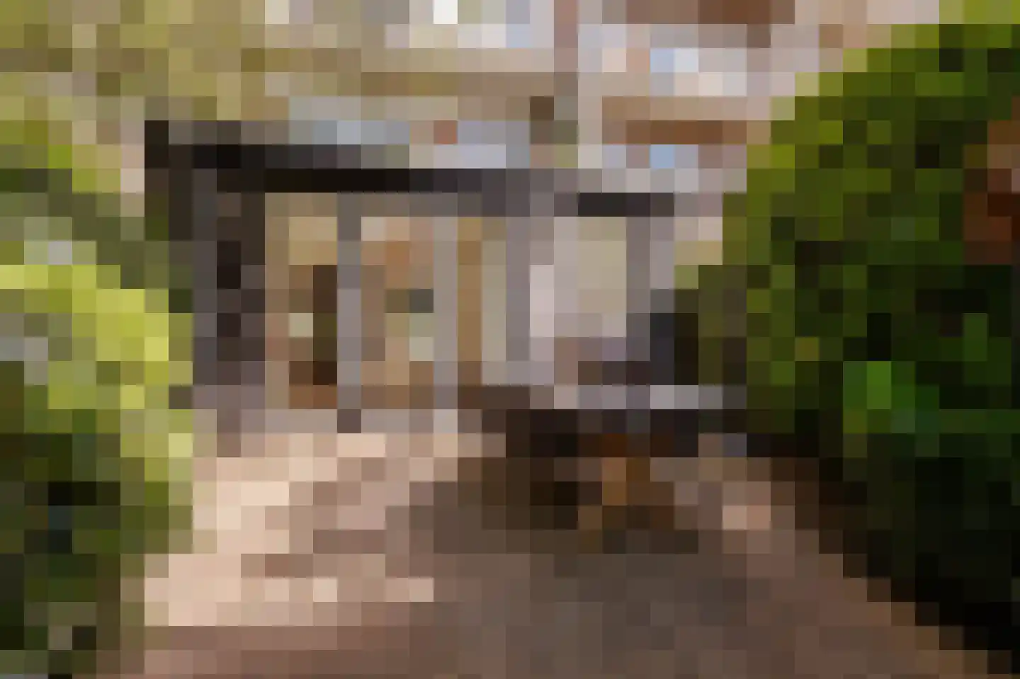 Crynssenstraat 43 2 Amsterdam thumbnail 26