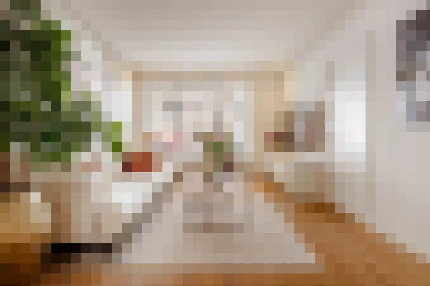 Crynssenstraat 43 H Amsterdam thumbnail 5