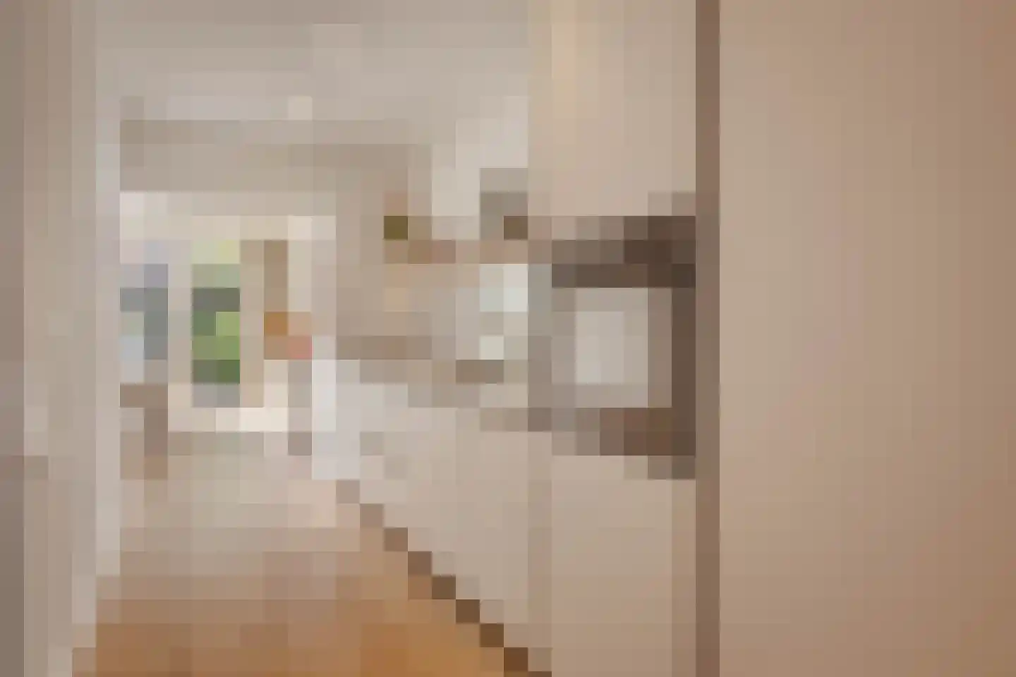 Crynssenstraat 43 H Amsterdam thumbnail 9