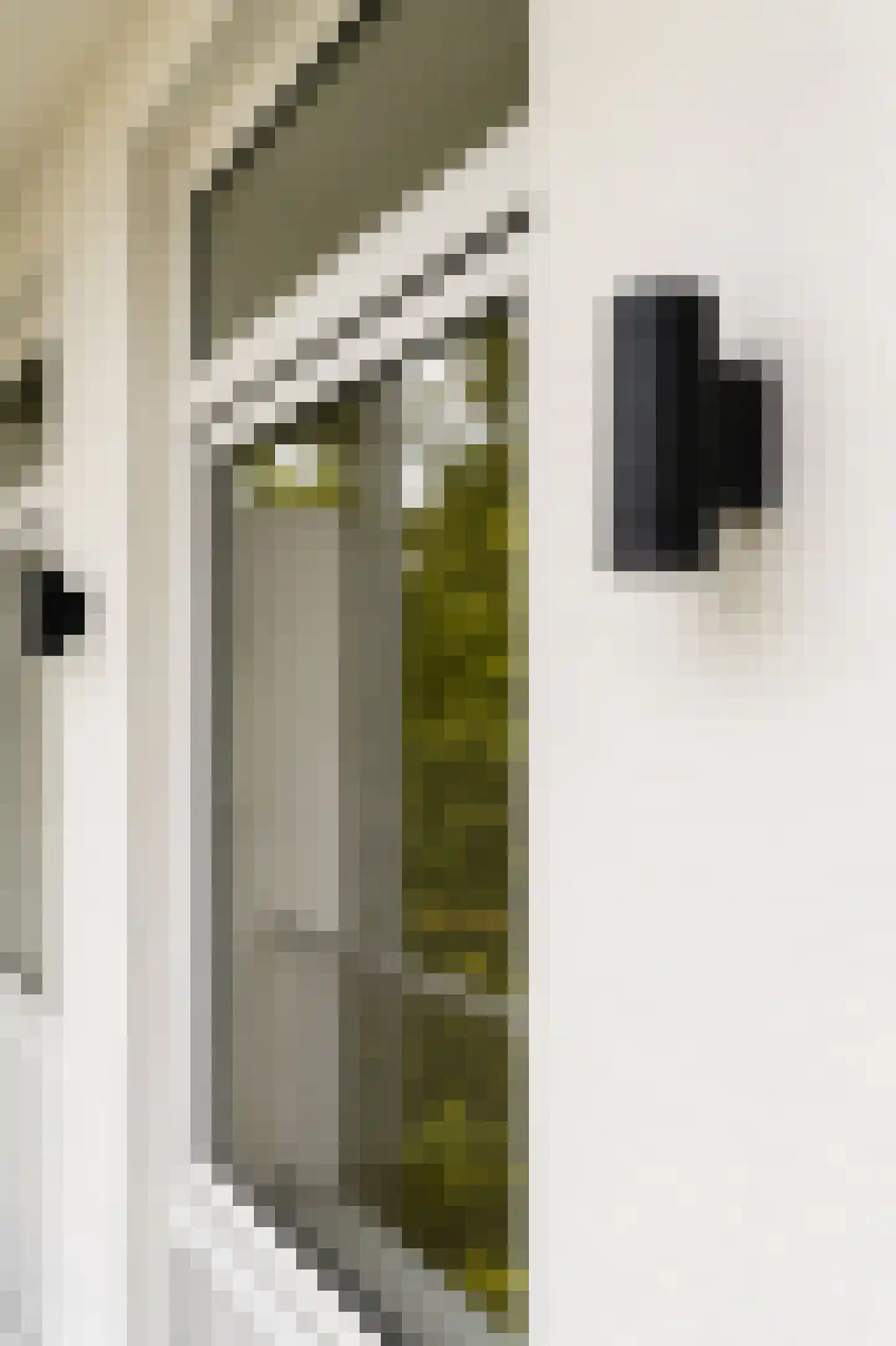 Crynssenstraat 46 2 Amsterdam thumbnail 25