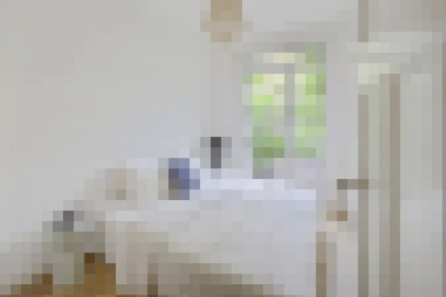 Crynssenstraat 5 1 Amsterdam thumbnail 4