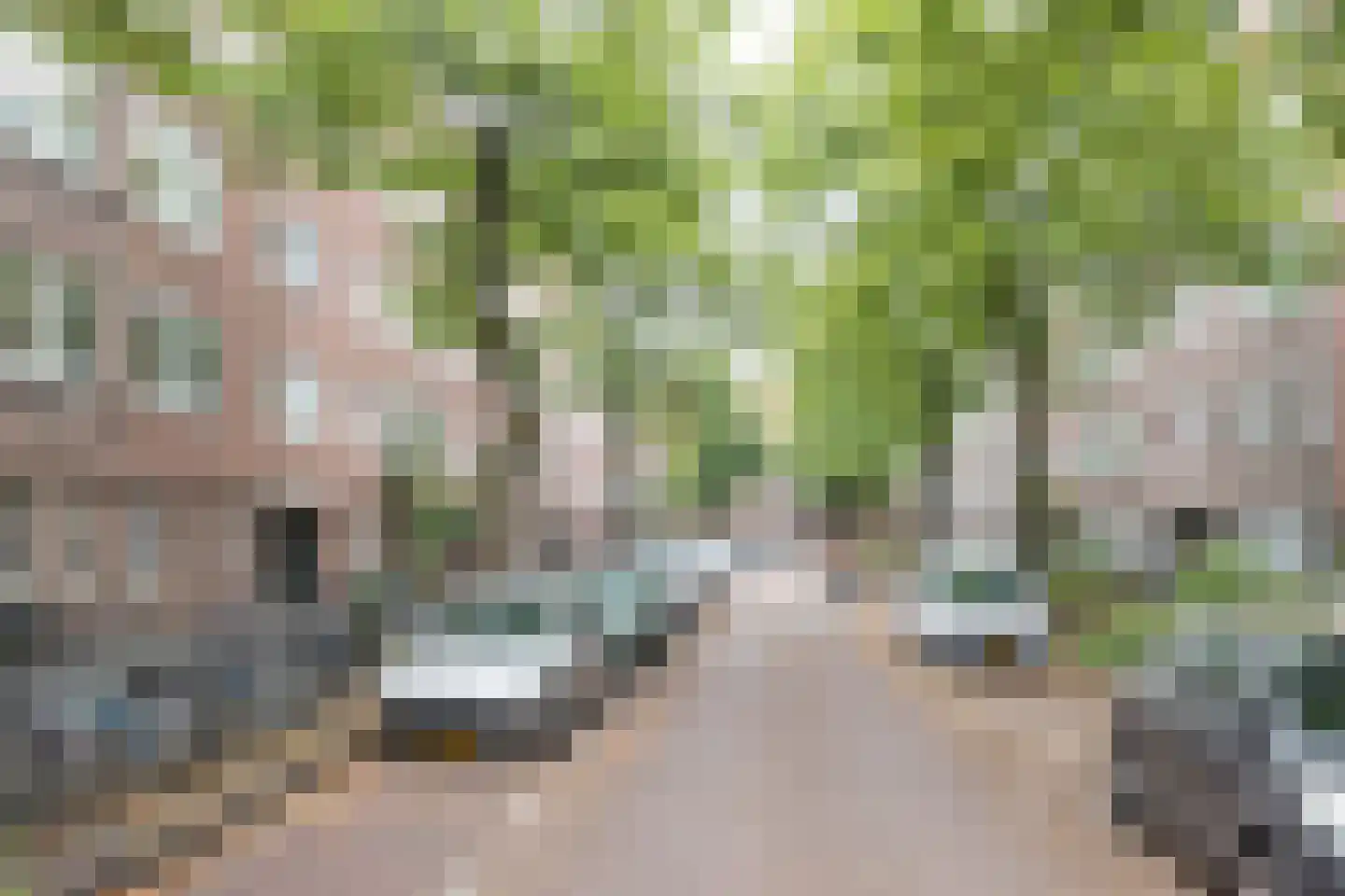 Crynssenstraat 54 3 Amsterdam thumbnail 35