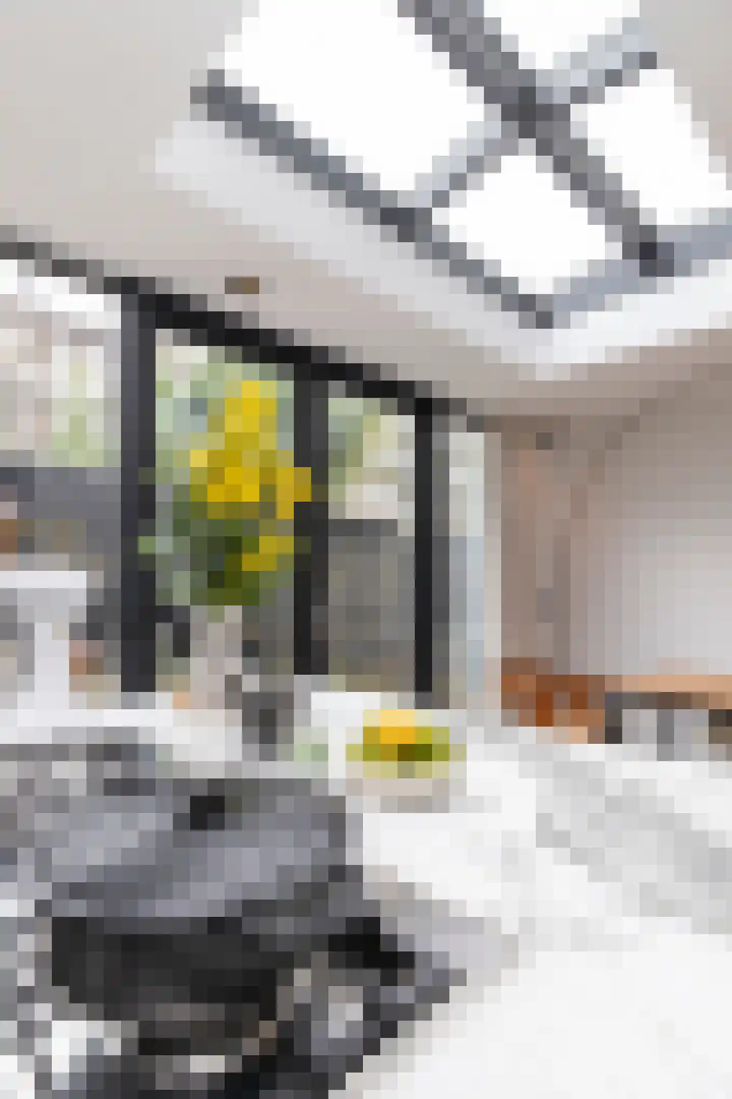 Crynssenstraat 54 3 Amsterdam thumbnail 8