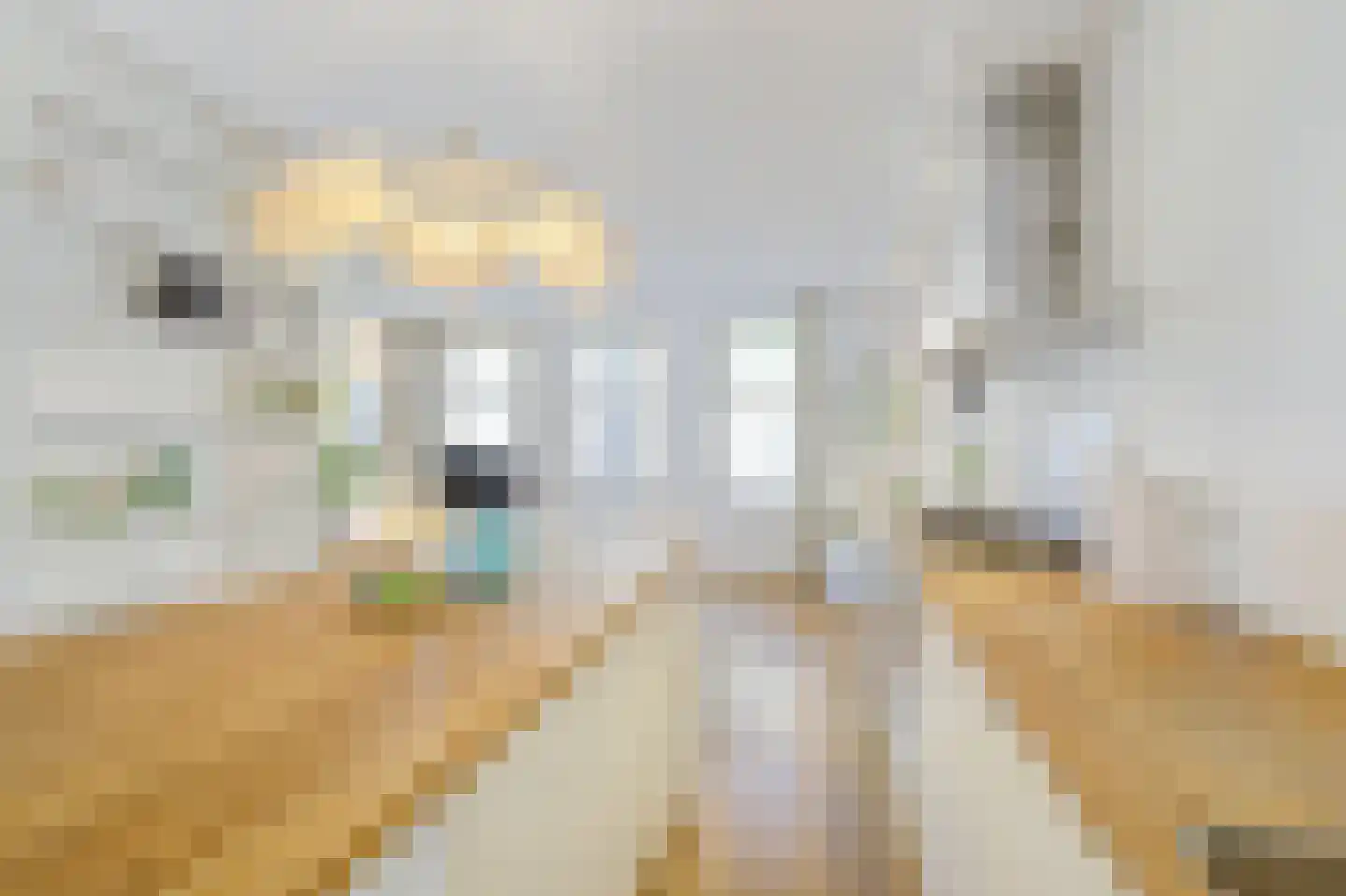 Crynssenstraat 59 1 Amsterdam thumbnail 8