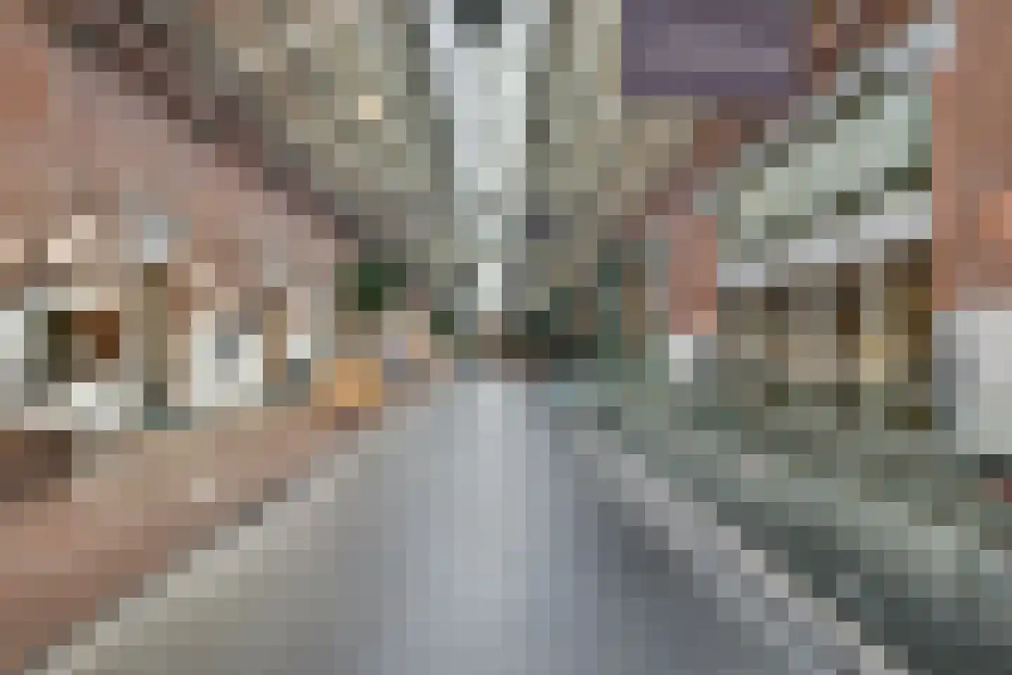 Crynssenstraat 59 2 Amsterdam thumbnail 27