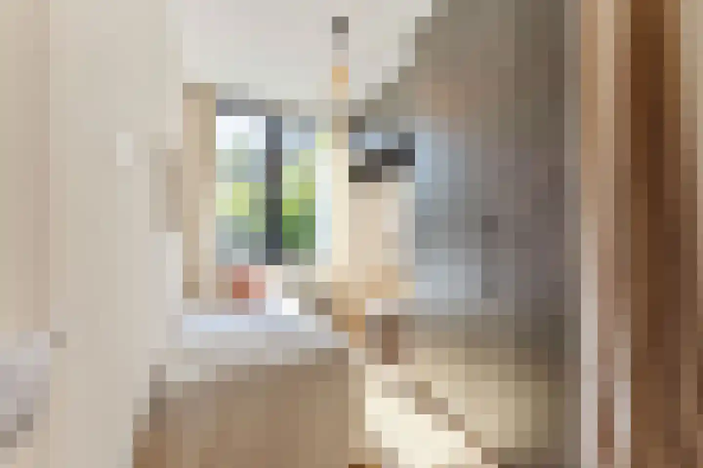 Crynssenstraat 61 1 Amsterdam thumbnail 4