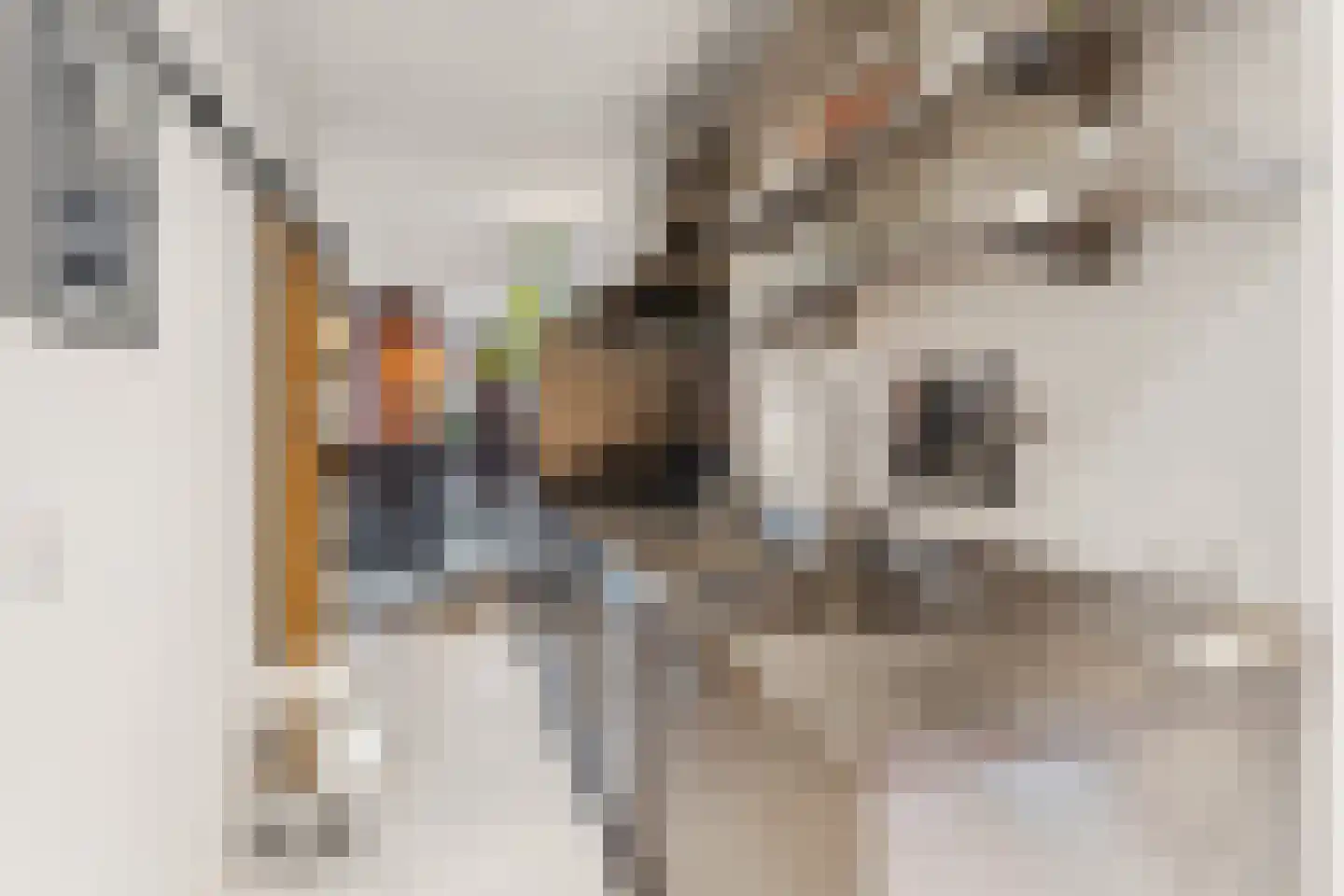 Crynssenstraat 76 H Amsterdam thumbnail 13