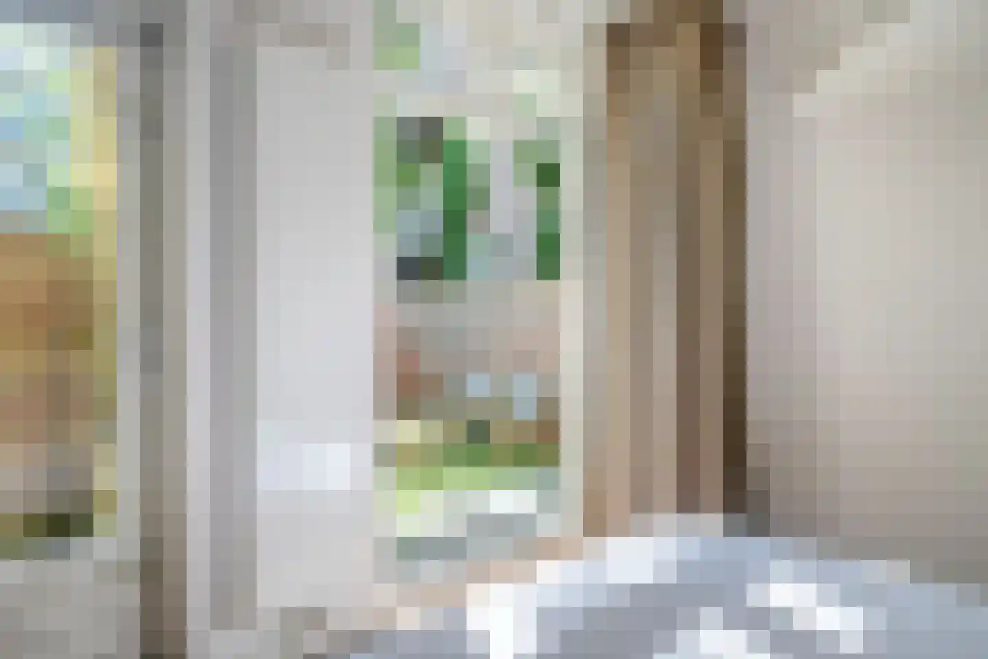 Crynssenstraat 78 H Amsterdam thumbnail 17