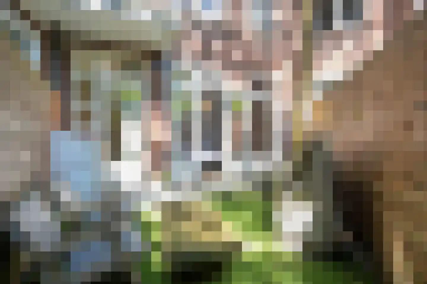 Crynssenstraat 78 H Amsterdam thumbnail 19