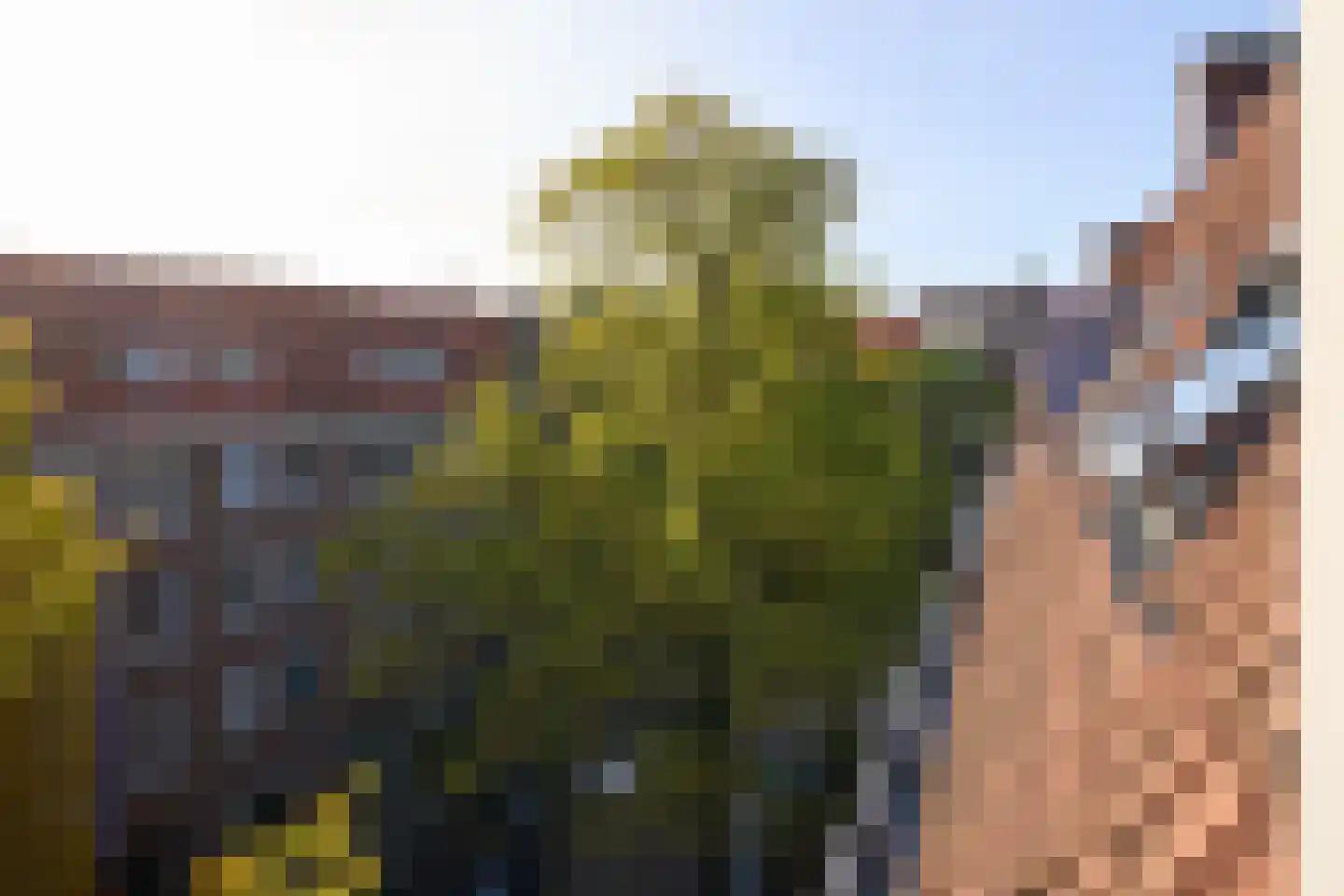 Crynssenstraat 9 4 Amsterdam thumbnail 28