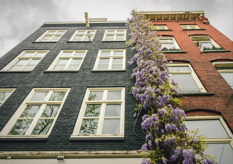 Kantoor foto van CS Makelaardij