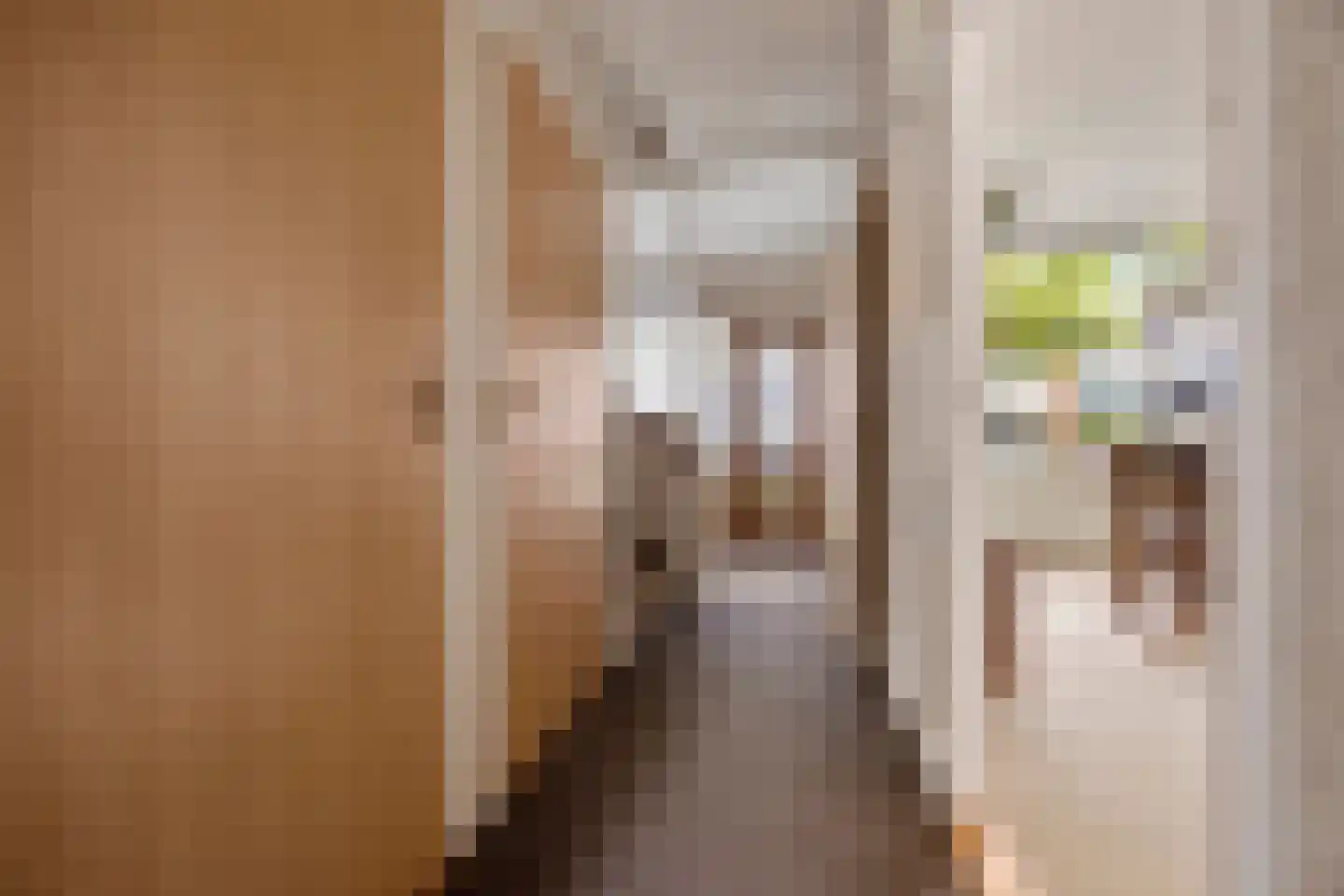 Csardasstraat 1 Nijmegen thumbnail 12