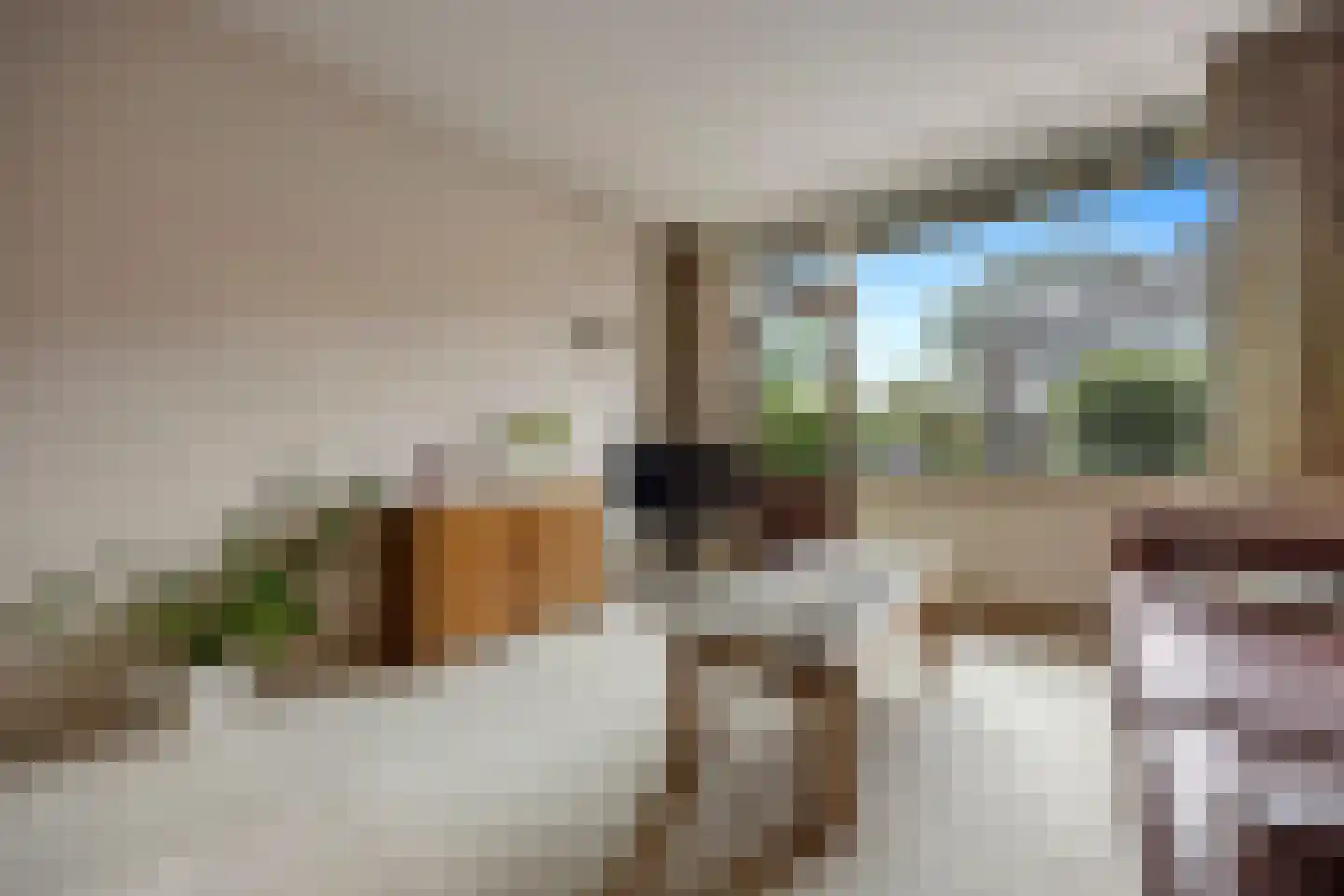 Csardasstraat 1 Nijmegen thumbnail 5