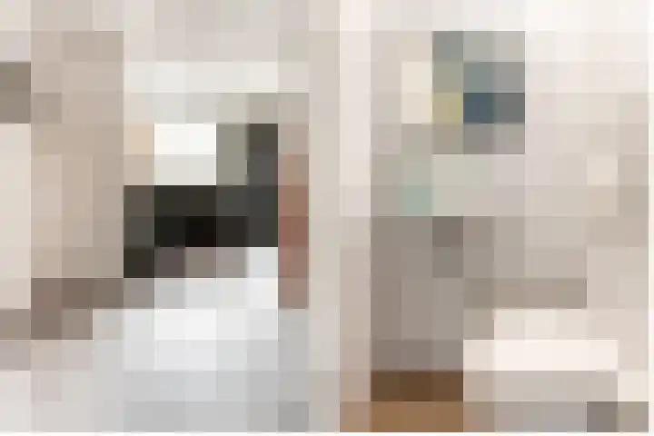 Csardasstraat 11 Almere thumbnail 4