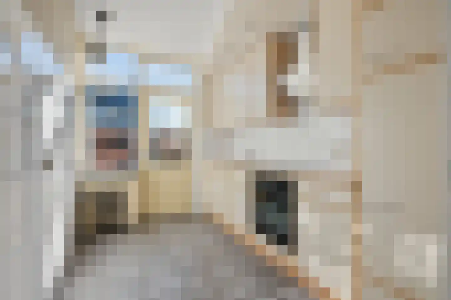 Csardasstraat 16 Nijmegen thumbnail 6
