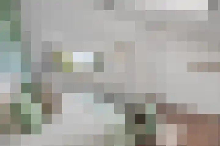 Csardasstraat 24 Nijmegen thumbnail 34
