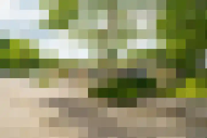 Csardasstraat 40 Almere thumbnail 30