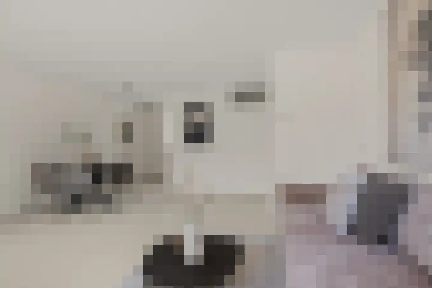 Cubadreef 7 Utrecht thumbnail 8