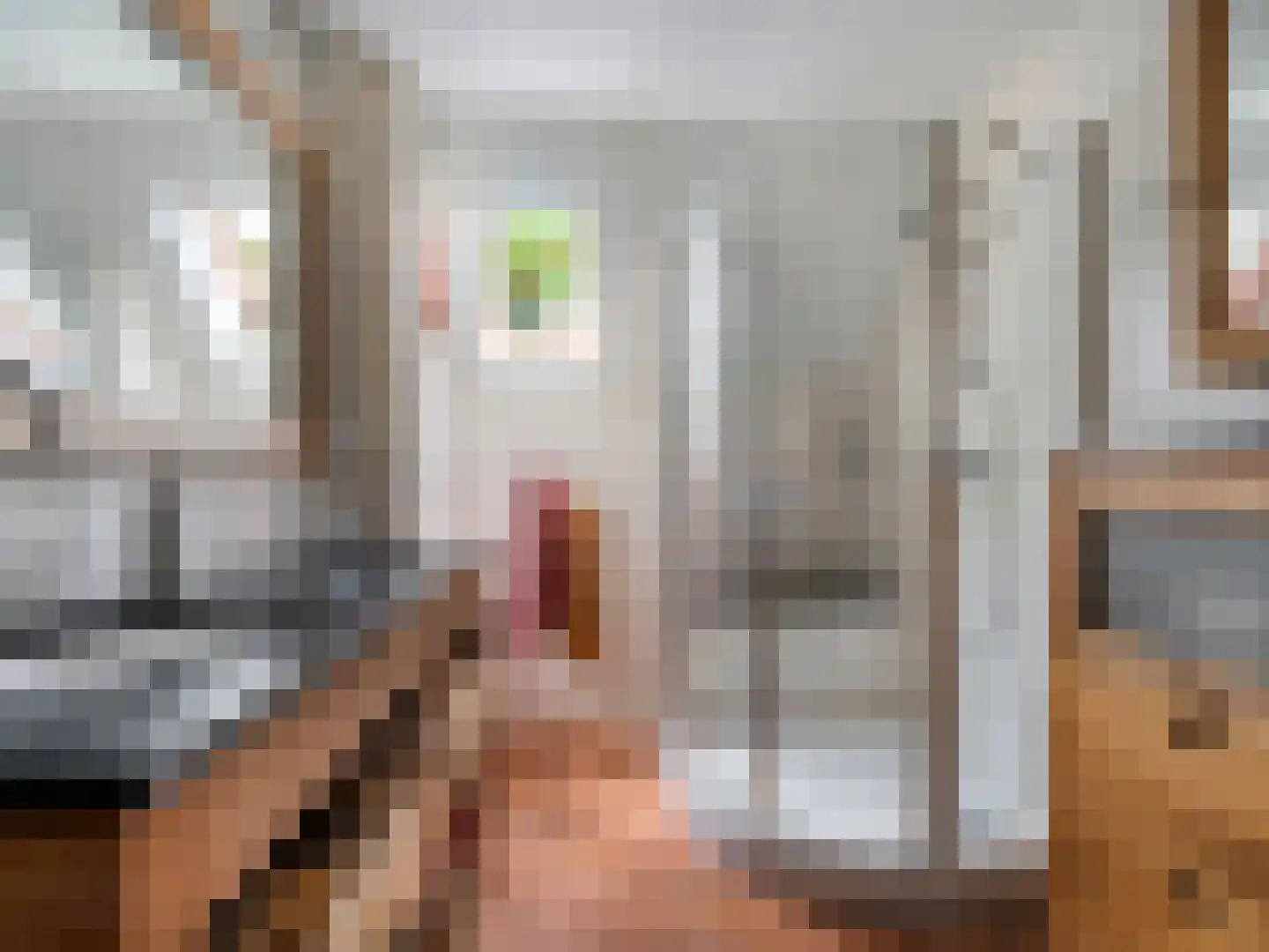 Cubalaan 50 Delft thumbnail 24
